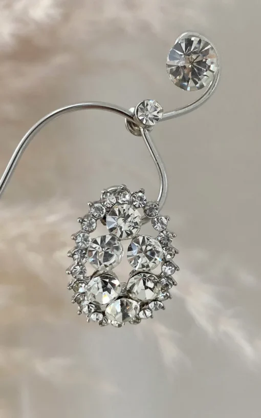 Silver Zahra Embellished Earrings<IKRUSH Discount
