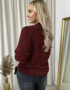 Wine Pamela Front Zip Detail Glitz Top<IKRUSH Sale